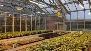 Dr. Greenhouse’s Five Predictions for the CEA Industry in 2023