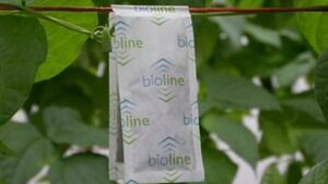 How Biocontrol Agent Release Technologies for the Greenhouse Are Evolving