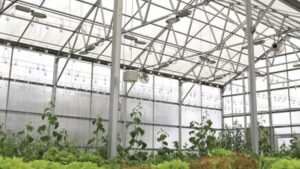 Your Most Common Greenhouse Materials Questions Answered