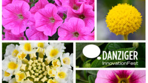 Growing In Tune with Nature for 2024