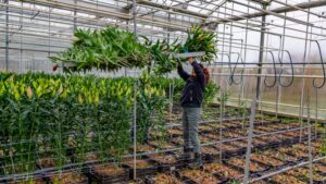 How to File a Business or Commercial Insurance Claim with Ease