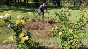 Video of the Week: Protecting a Legacy of Roses, While Training Future Horticulturists