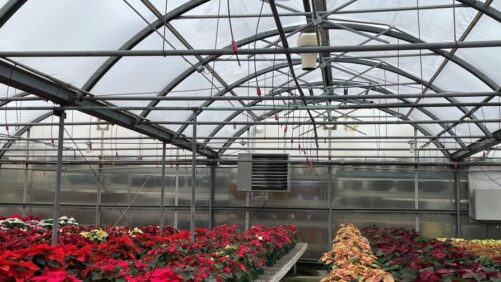 Prepare Your Greenhouse Heating for Winter with Preventative Maintenance