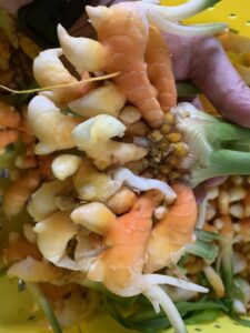 Vanilla, Turmeric Join Market as Greenhouse Herbs