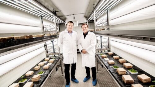New International Research Center Will Analyze the Shift to Indoor Farming