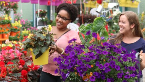 What Does Generation Z Want From Flowers? New Research Answers That Question