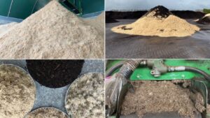 Current and Future State of the Growing Media Industry