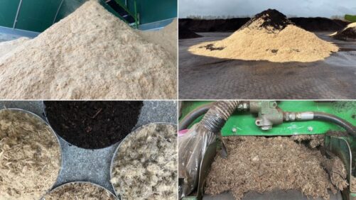 Current and Future State of the Growing Media Industry