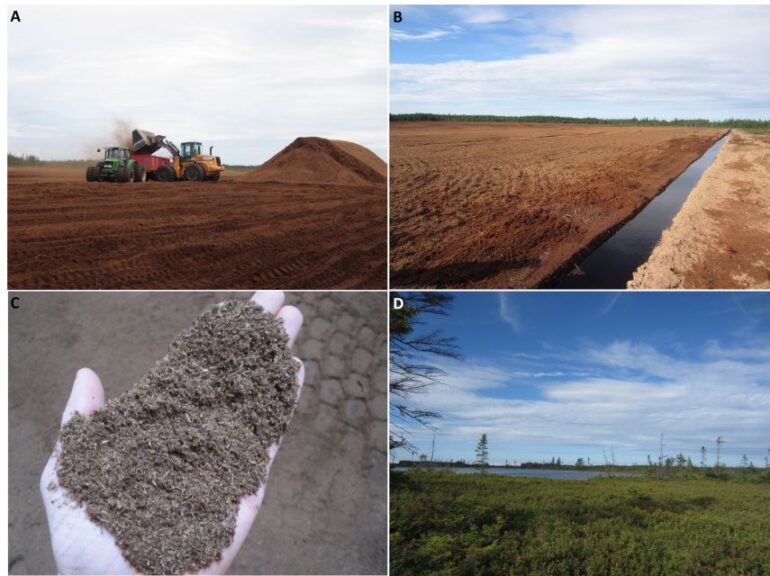 Brian Jackson peat extraction