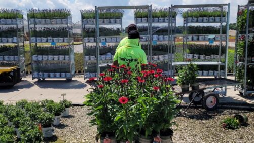 Is H-2A a Good Fit for Your Business? Find Out at the GROW Executive Summit