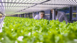 Unlocking the Full Power of LED Lighting Controls