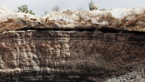 Fertilizer Suppliers Report High Costs, Limited Availability