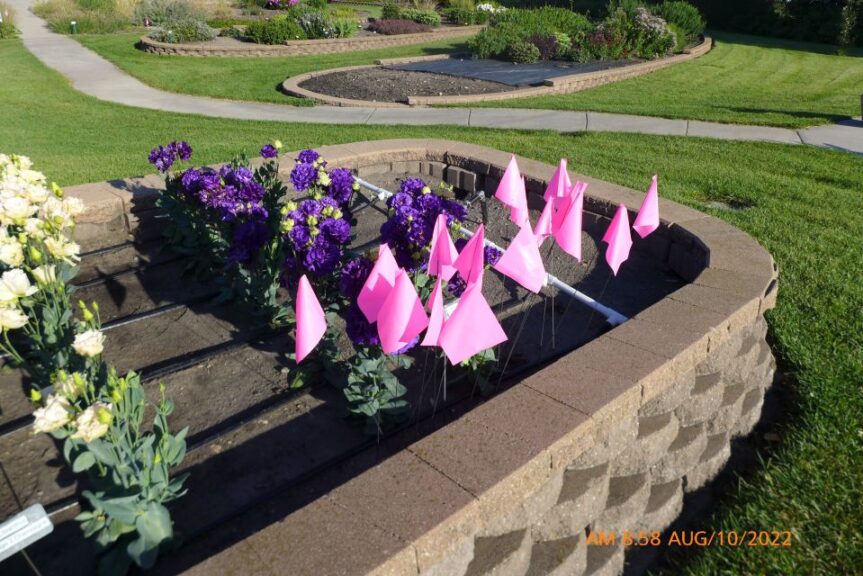 Lisianthus 'Voyage II Blue' (Ball Seed(