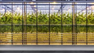 Ridder Celebrating Its 70th Anniversary in 2023