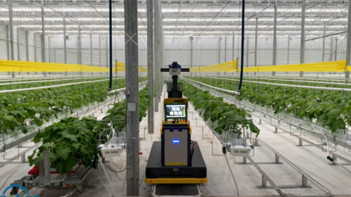 Autonomous Robot Does the Greenhouse Scouting for You
