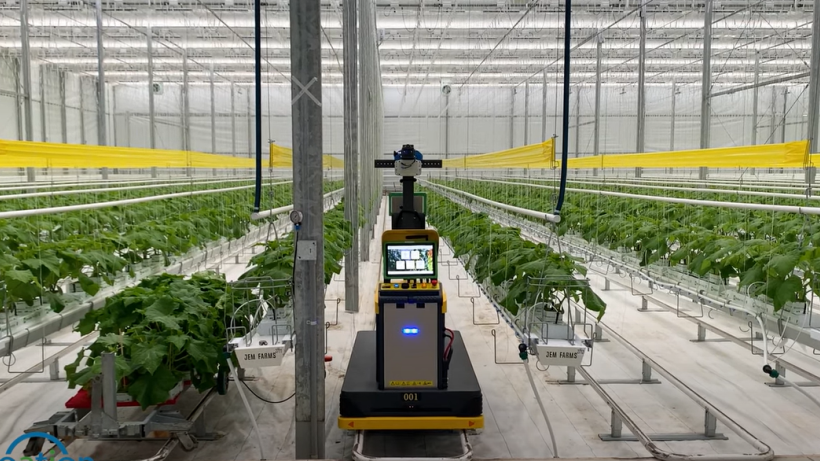#4: Autonomous Robot Does the Greenhouse Scouting for You