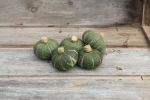 Kabocha Squash ‘Sweet Jade’ (Johnny’s Selected Seeds)