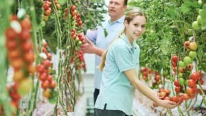 How to Make Horticulture an Enjoyable Career Choice