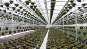 Passion Is Driving Today's Horticulture Industry 