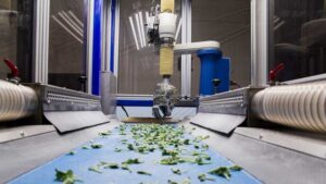 Greenhouse Technology in Focus: Here Are Ten Stories You May Have Missed This Year