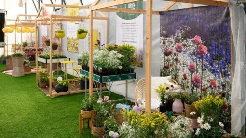 Danziger Celebrates Innovation in a Month-Long Event