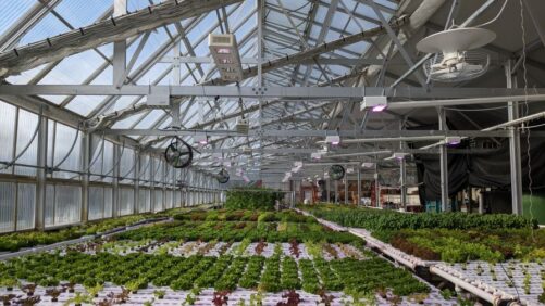 2024 GLASE Summit Will Include Grower Panel on Lighting
