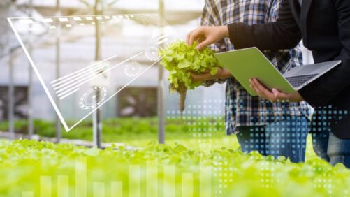 Sign Up Now for a Virtual Course on Greenhouse Climate Control Efficiency