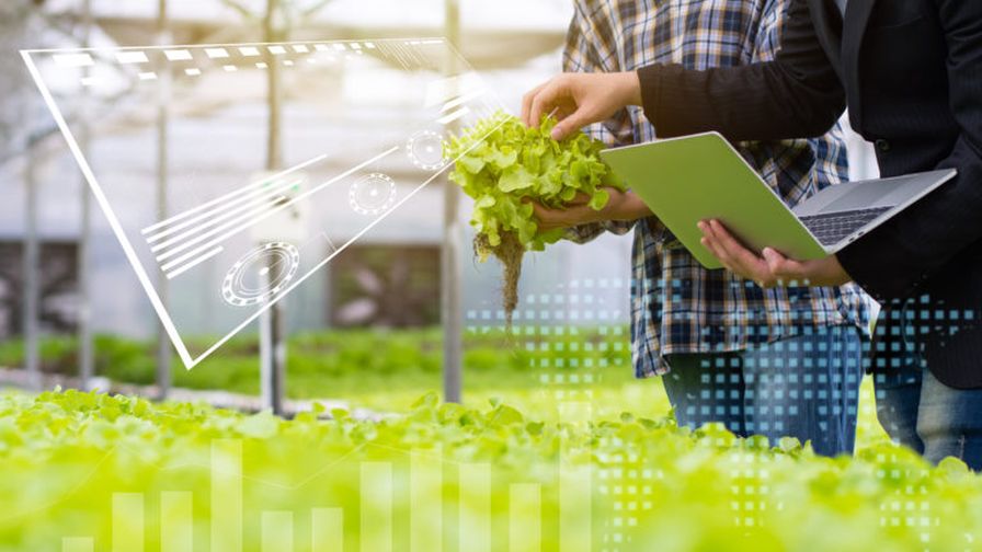 Sign Up Now for a Virtual Course on Greenhouse Climate Control