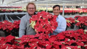 Find Out the Big Winners From Plantpeddler’s 2022 Poinsettia Variety Day