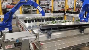 How Labor Challenges Spur Greenhouse Technology Innovations