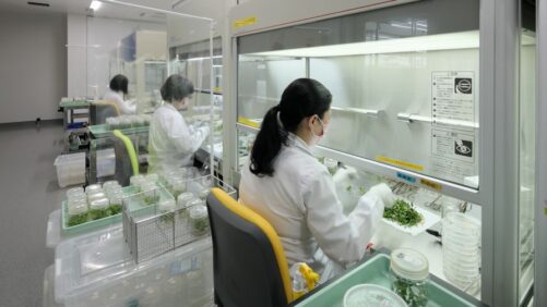 Suntory Flowers Opens New Innovation Center
