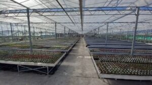 How Doing an Audit of Your Greenhouse Can Help Reduce Energy Costs