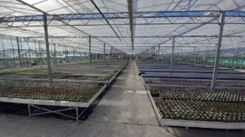 How Doing an Audit of Your Greenhouse Can Help Reduce Energy Costs