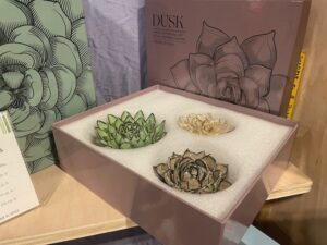 Ceramic Succulents Wall Art (Chive, Toronto, Ontario, Canada)