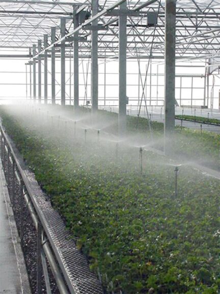 A Step-by-Step Guide to Efficient Greenhouse Irrigation