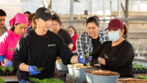 Why Training and Development Are the Cornerstone of Retaining Your Workforce