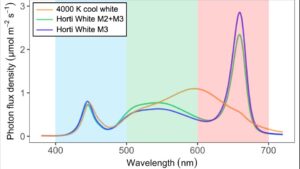 A Closer Look at the Effect of White LEDs on Plant Performance