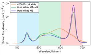 A Closer Look at the Effect of White LEDs on Plant Performance 