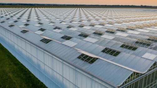 GLASE Summit 2023 to Focus on Greenhouse Energy Resilience