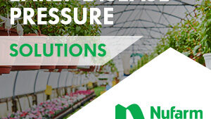 Early Disease Pressure Prevention, Management