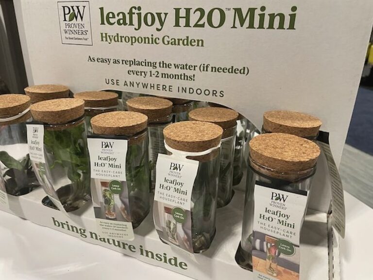 Leafjoy H2O Mini Hydroponic Garden (Proven Winners – The Plant Company, Stuart’s Draft, VA)