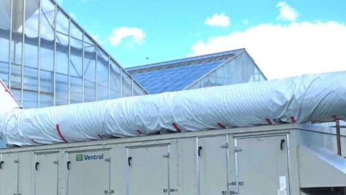 How Dehumidification Technology Can Lower Greenhouse Energy Costs