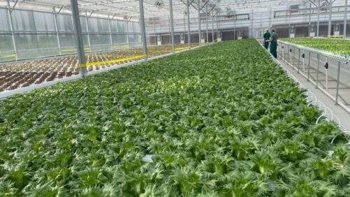 Highlights From Greenhouse Grower’s February 2023 Issue