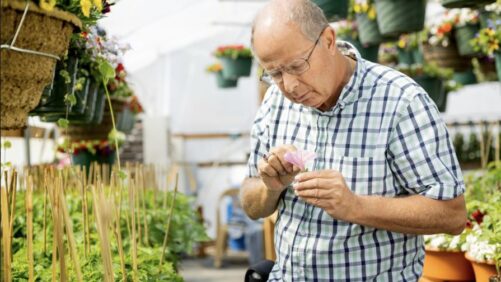 Why Biosolutions Are Gaining Market Share Among Greenhouse Growers