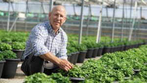 What’s the Market Outlook for Biosolutions in the Greenhouse Industry?