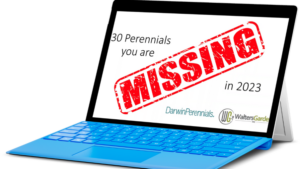 Video of the Week: Shining a Spotlight on Top-Performing Perennials