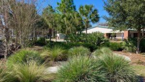 The Role Plants Can Play in Mitigating Climate Change Concerns