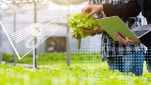 Applying Autonomous Greenhouse Systems to Your Operation