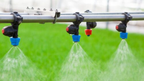 How to Control How Much Water Your Greenhouse Plants Receive