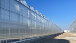 Looking to Upgrade Your Greenhouse Structure Coverings? Consider These Four Factors
